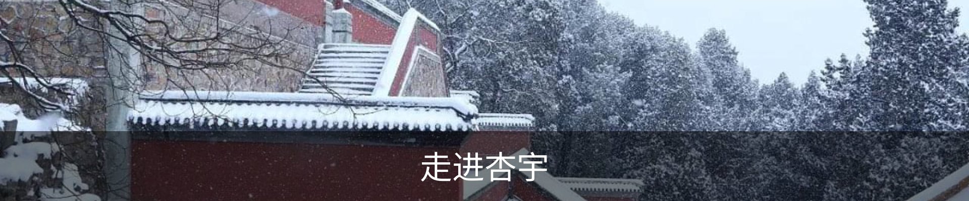 走进杏宇